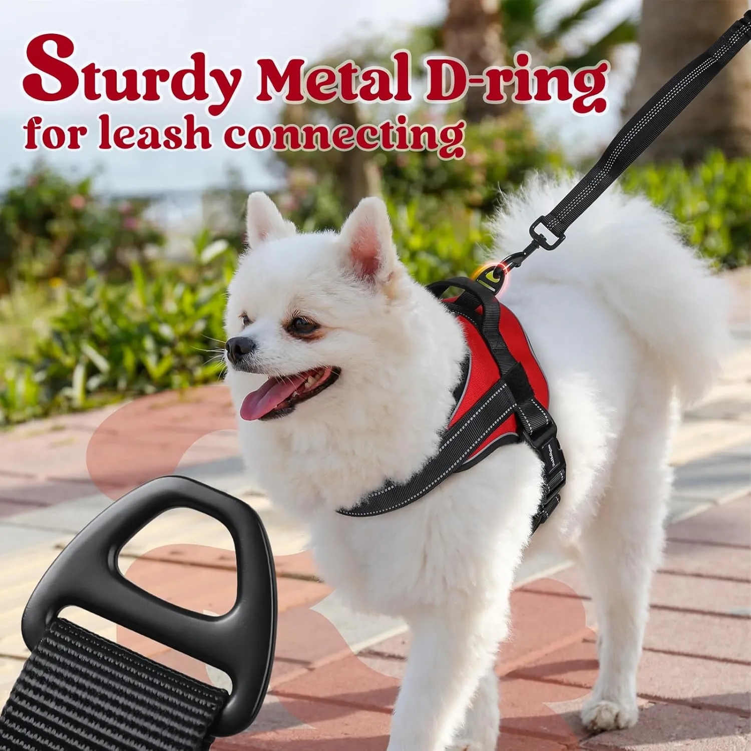 rabbitgoo Dog Harness Medium Sized, No Pull No Choke Pet Vest, Easy Wearing with One Buckle, Adjustable Reflective Harness Buddy with Personalized Molle for Walking, Training, Red, M