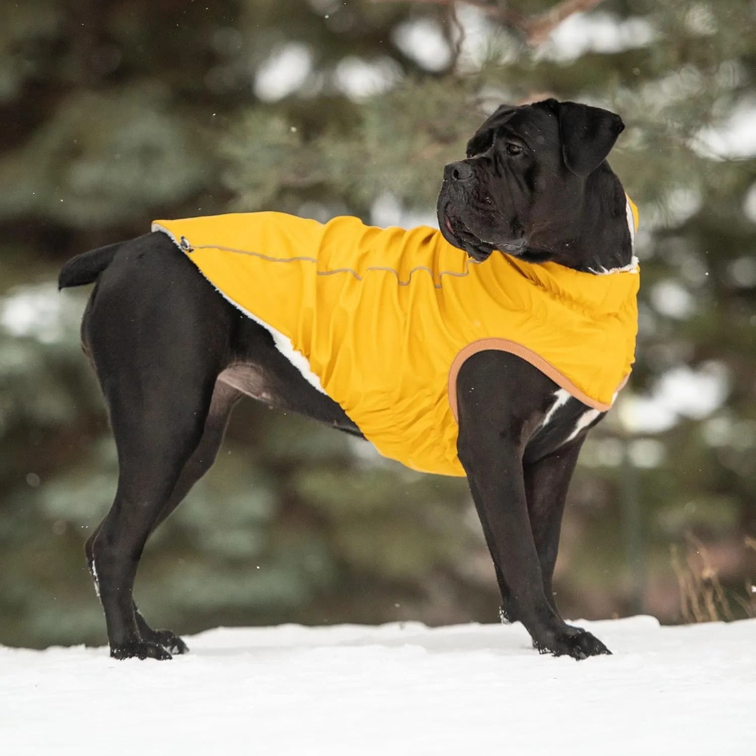 Raincoat for Dogs | Insulated & Reflective Waterproof Dog Rain Coat Jacket with Adjustable Hood, Neck, Chest | Comfortable & Easy-On Dog Rain Coats for Pets - Yellow - Large