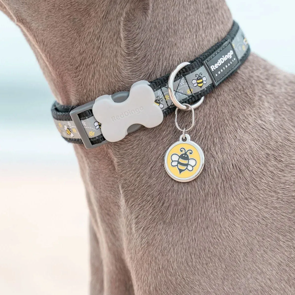 Red Dingo Bumble Bee Yellow Pet ID Dog Tags