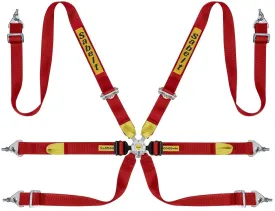 Sabelt Silver Series Enduro 6 Point Racing Harness