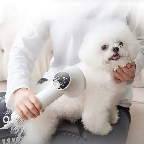 Smart Pet Hair Dryer - Dog Golden Retriever Cat Grooming Hairdressing Blow & Comb
