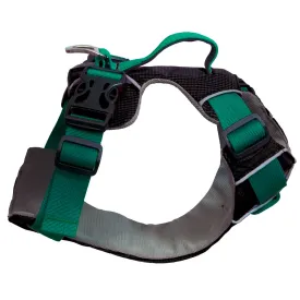 Sotnos Triple Safety Harness - Teal