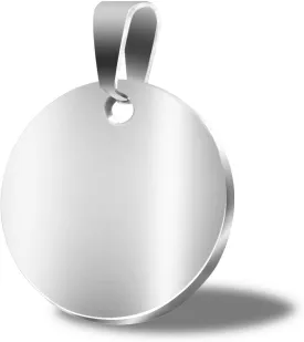 TSJ-STORE Stamping Blanks Silver Round Metal Charms 20 Pcs Stainless Steel Blank Stamping Tags with Hole 1 Inch (25mm) Pendants for Necklace Bracelet Pet ID Name Tags DIY Handicrafts