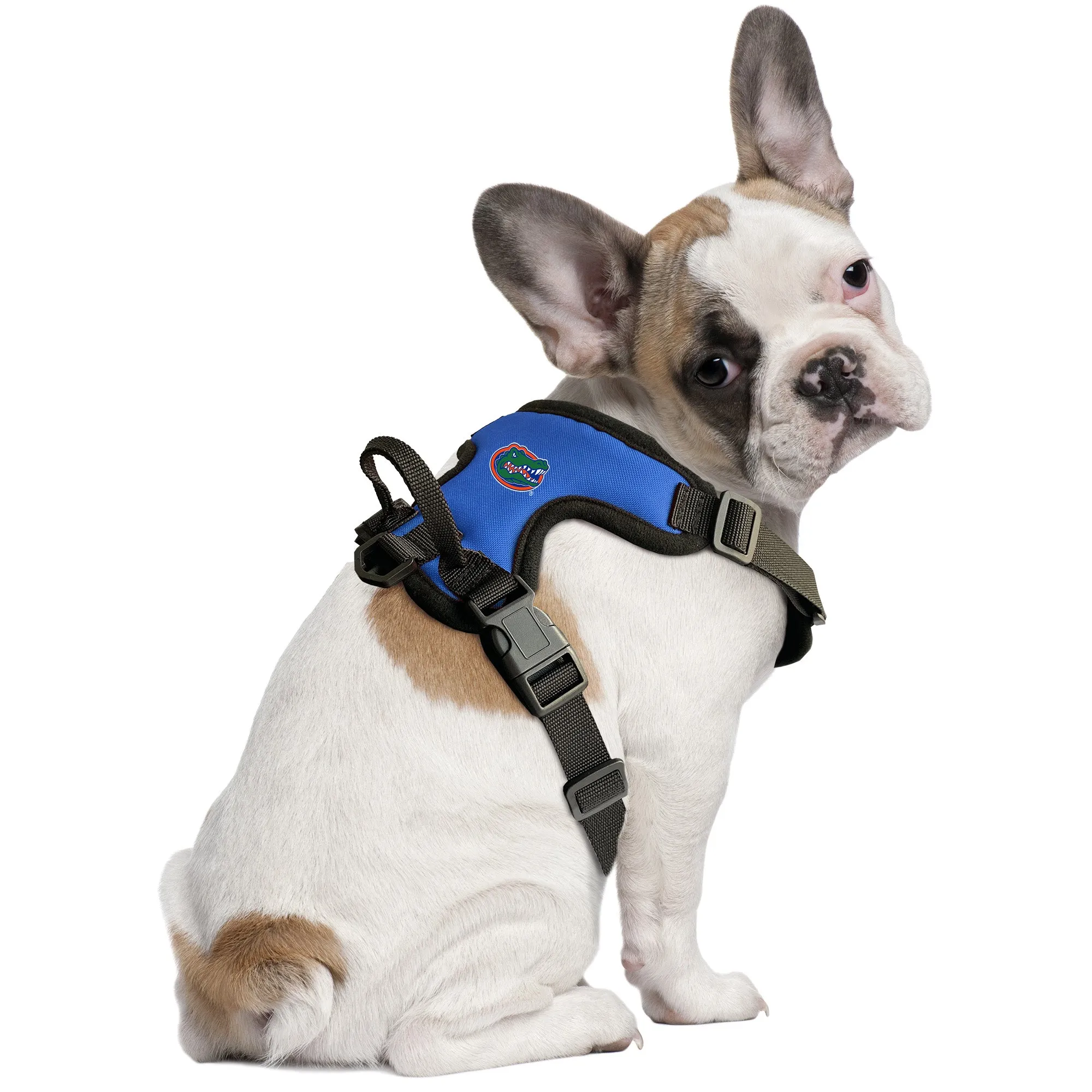 University of Florida Front Clip Pet Harness