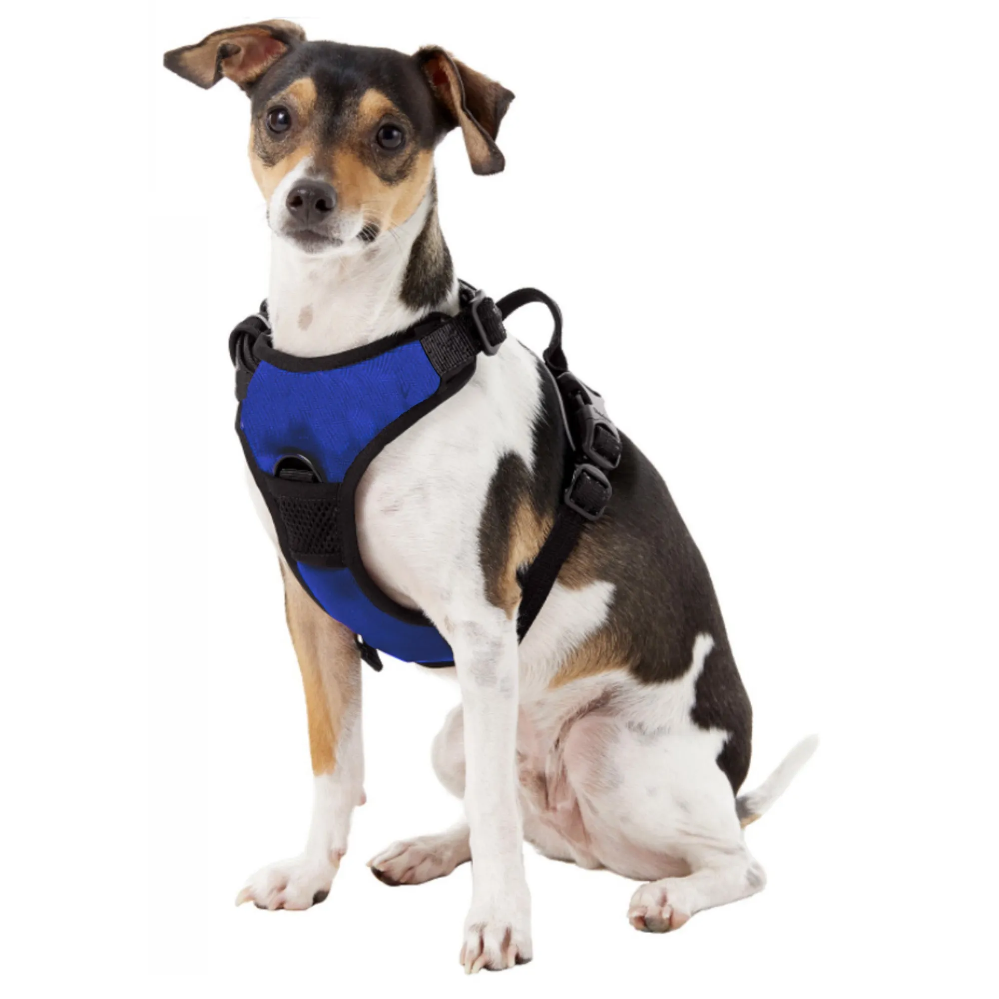 University of Florida Front Clip Pet Harness