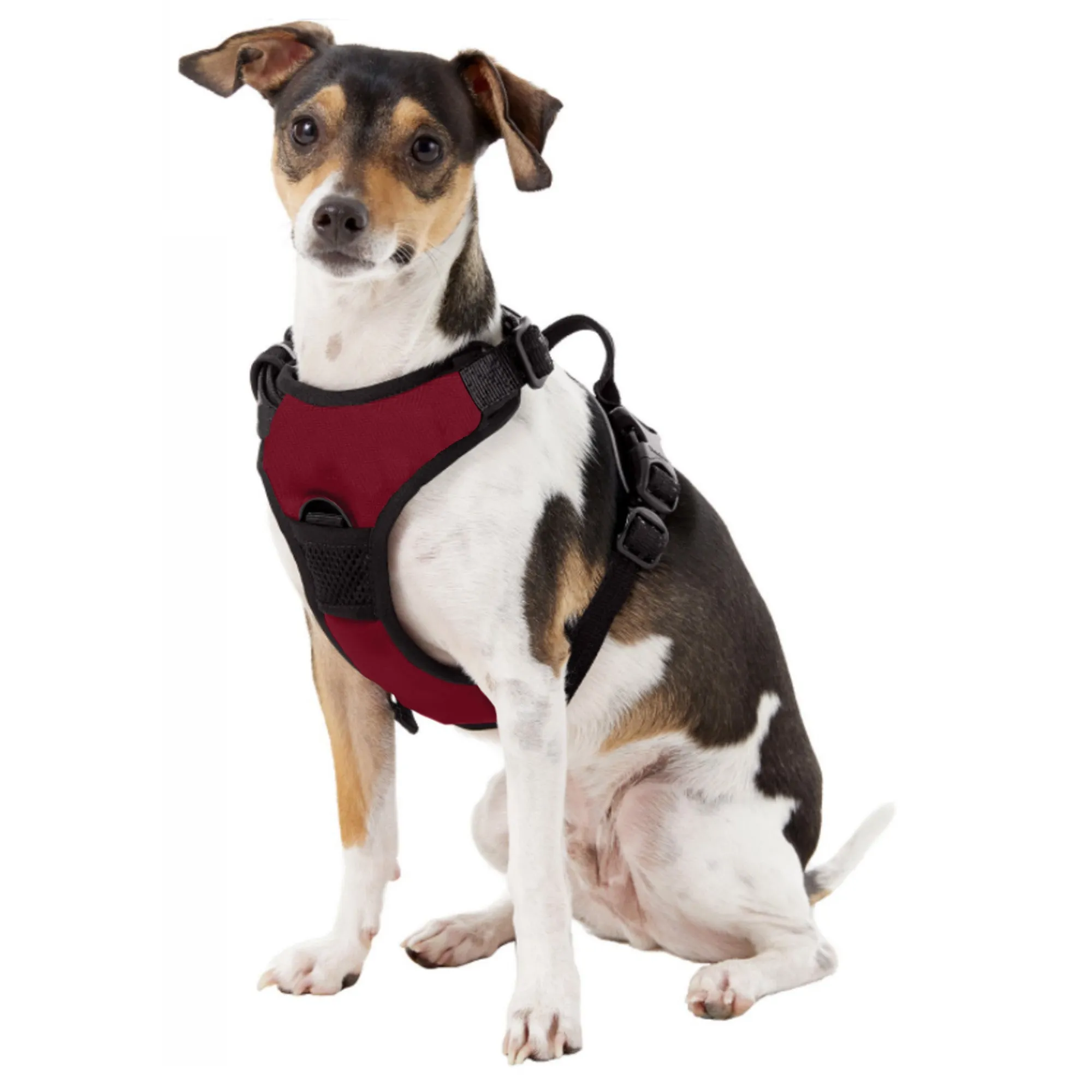 University of South Carolina Front Clip Pet Harness