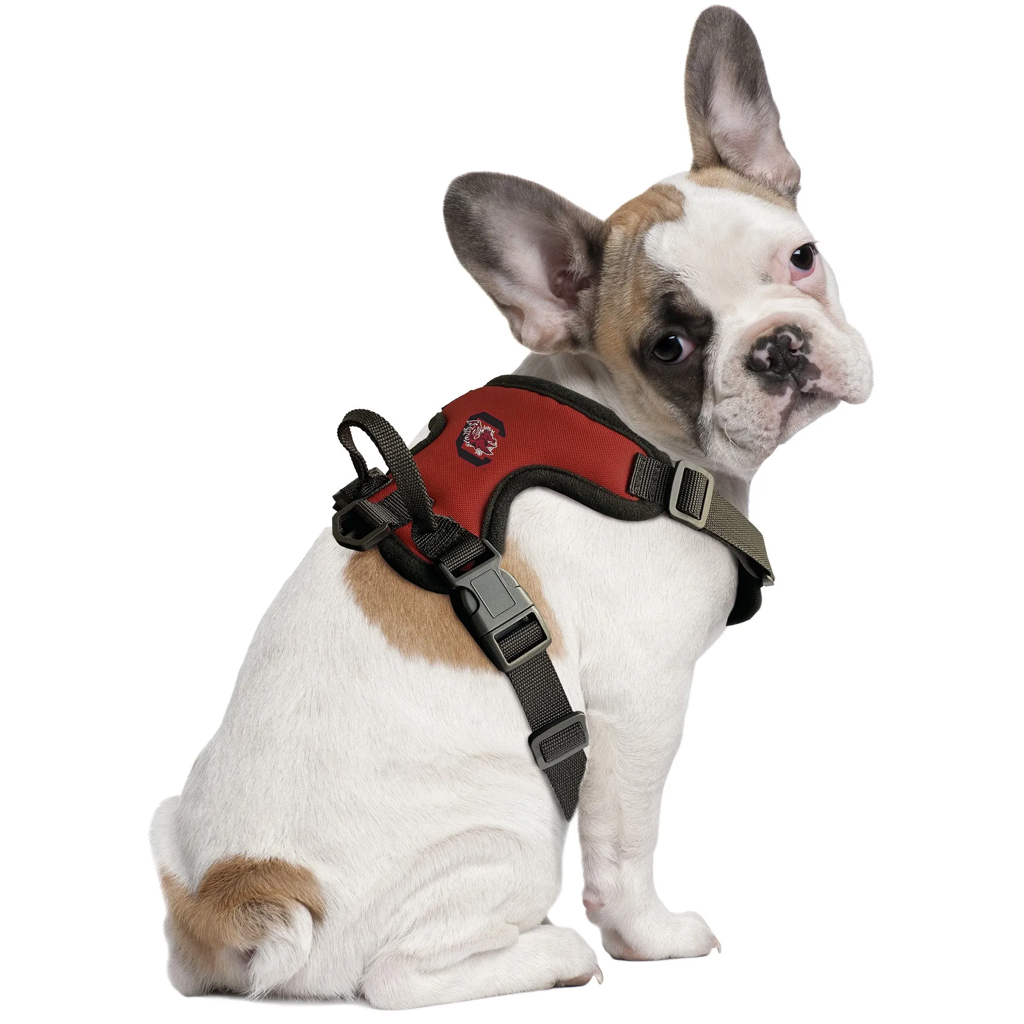 University of South Carolina Front Clip Pet Harness