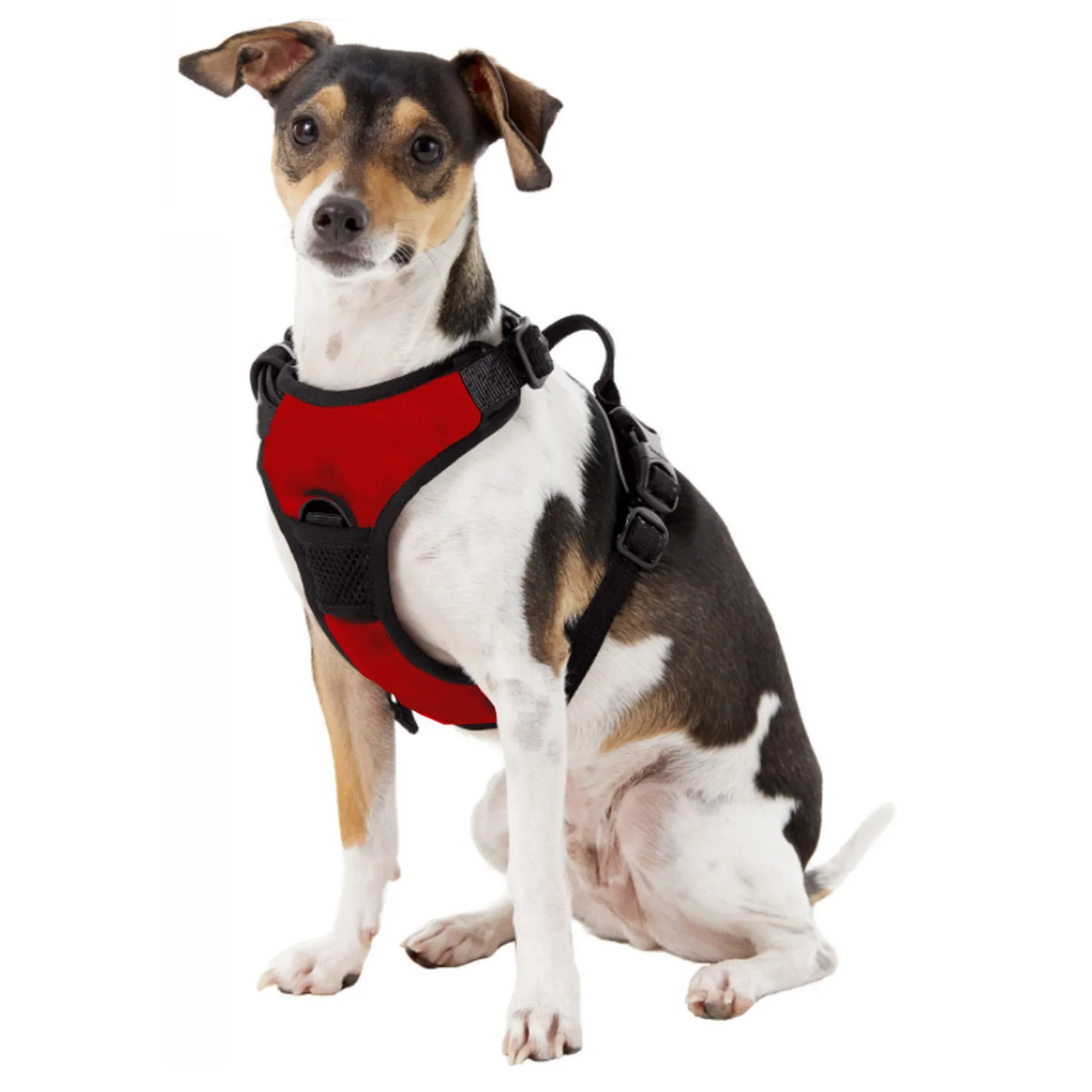 University of Utah Front Clip Pet Harness