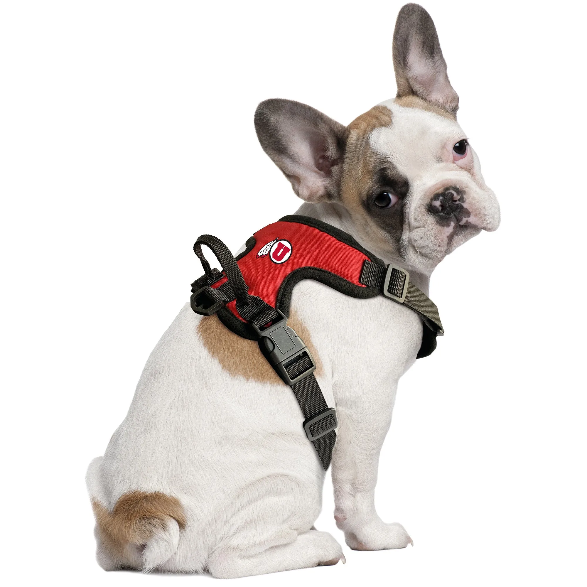 University of Utah Front Clip Pet Harness